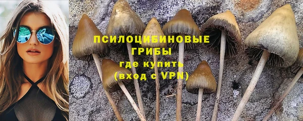 бошки Алзамай