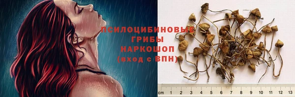 не бодяженный Алексин