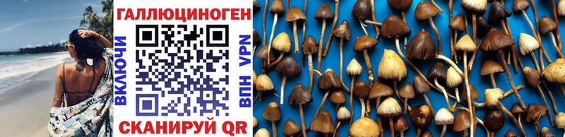 Псилоцибиновые грибы MAGIC MUSHROOMS  Дно 